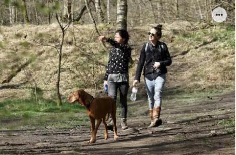 Park Konijnenburg Villa Putten Kültér fotó